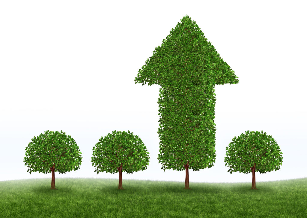 Financial planning documents and calculator for Korea payroll budgeting